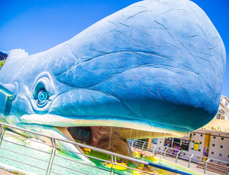 media.Balena_Melodie_al_Parco_Acquatico_Atlantica_Cesenatico_biglietti_ingresso_gratuiti_Vacanze_Club_Family_Hotel